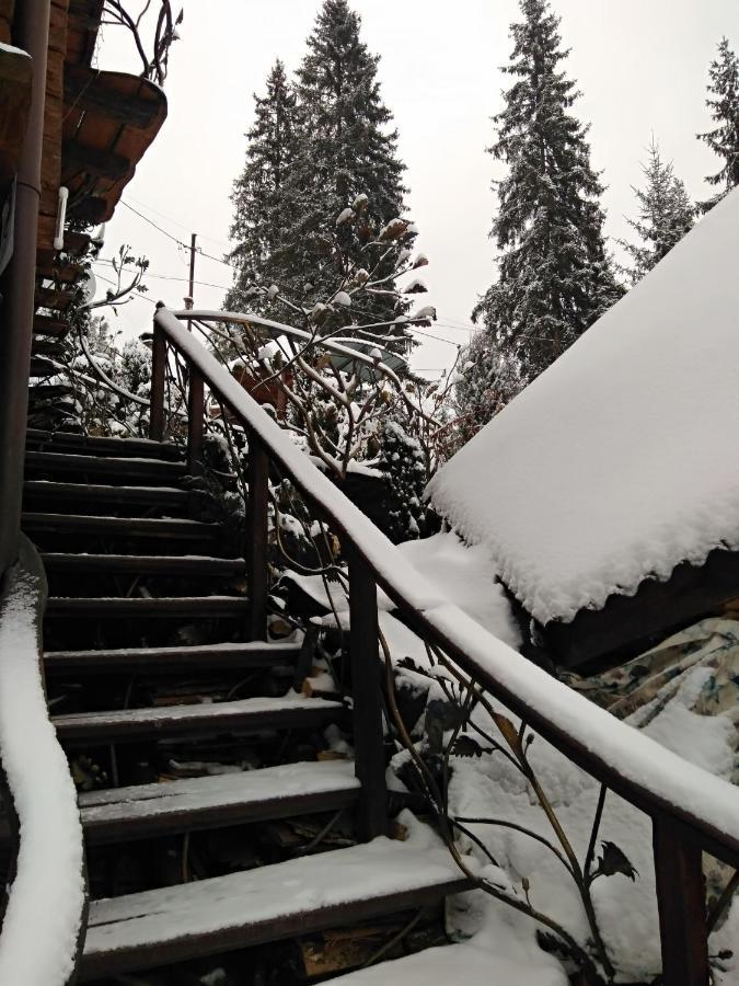 Любе Hotel Yablunytsya Exterior photo